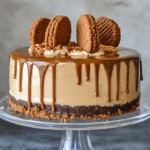Easy No Bake Biscoff Cheesecake Recipe